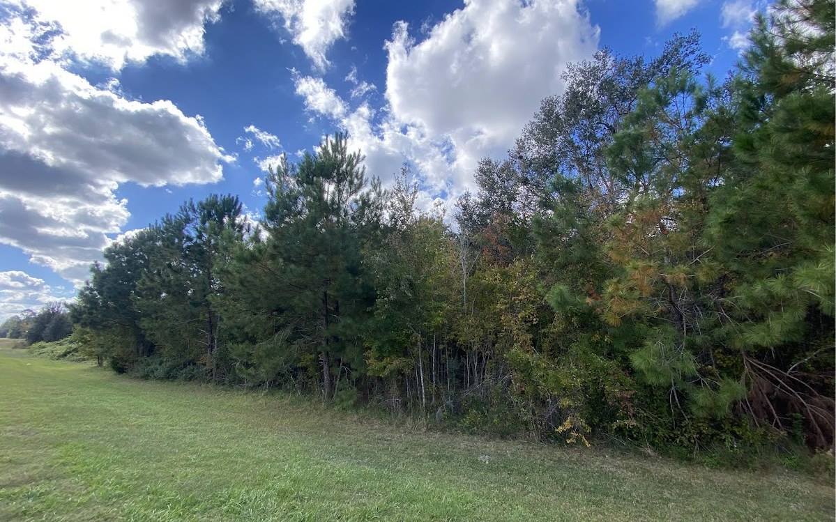TBD Lot 4 SW Sisters Welcome Rd, Lake City, FL 32025