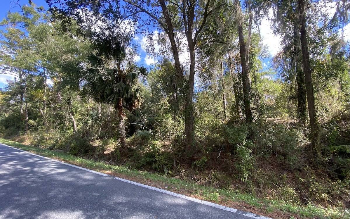 TBD Lot 4 SW Sisters Welcome Rd, Lake City, FL 32025