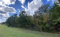 TBD Lot 4 SW Sisters Welcome Rd, Lake City, FL 32025
