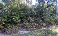 TBD Lot 4 SW Sisters Welcome Rd, Lake City, FL 32025