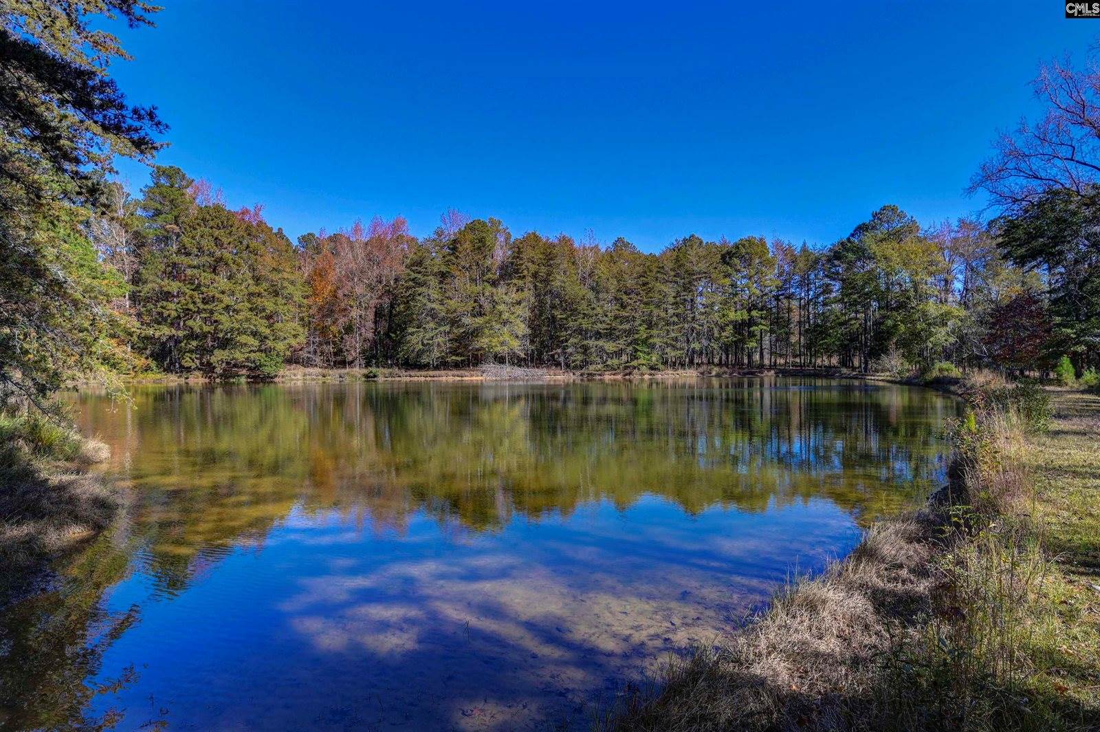 1155 Russ Brown, Blythewood, SC 29016