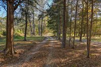 1155 Russ Brown, Blythewood, SC 29016