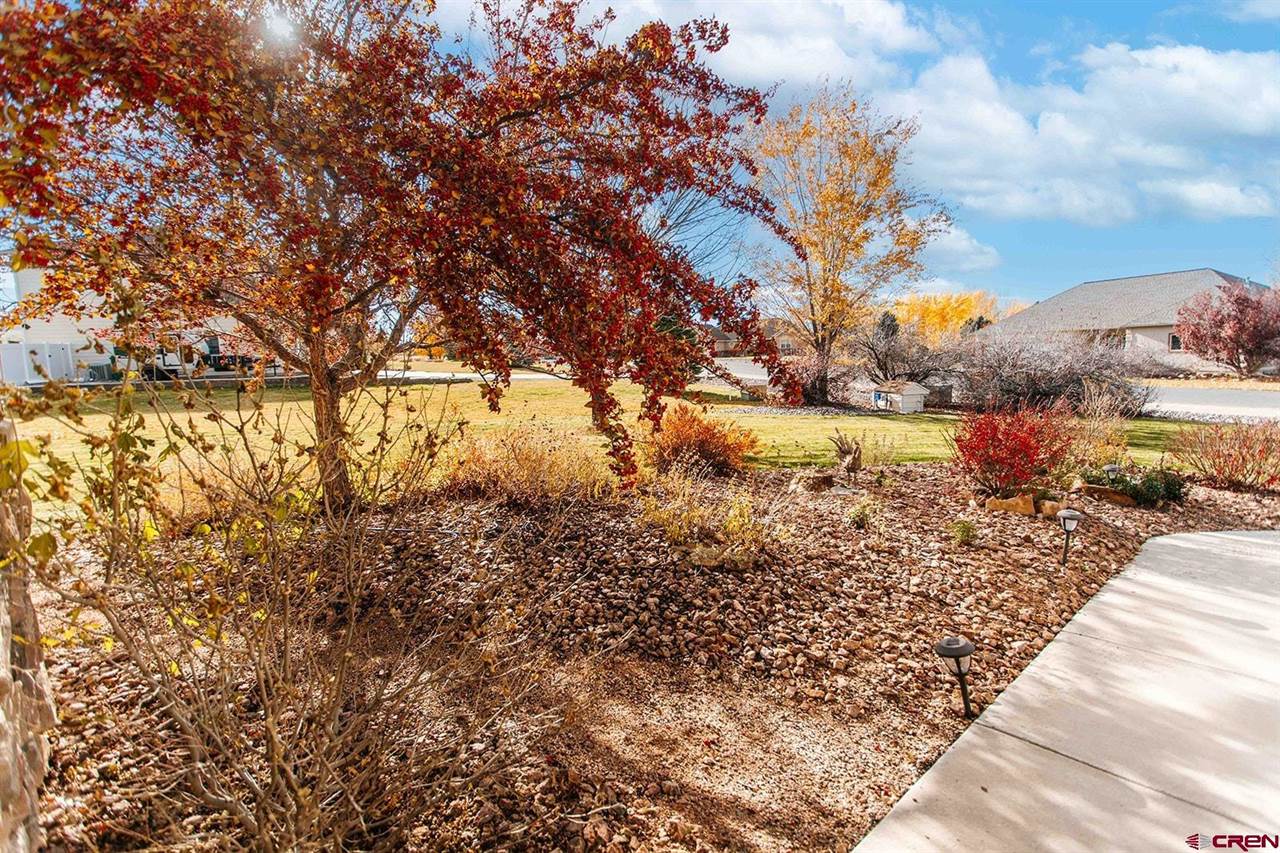 2231 Hill Street, Montrose, CO 81401