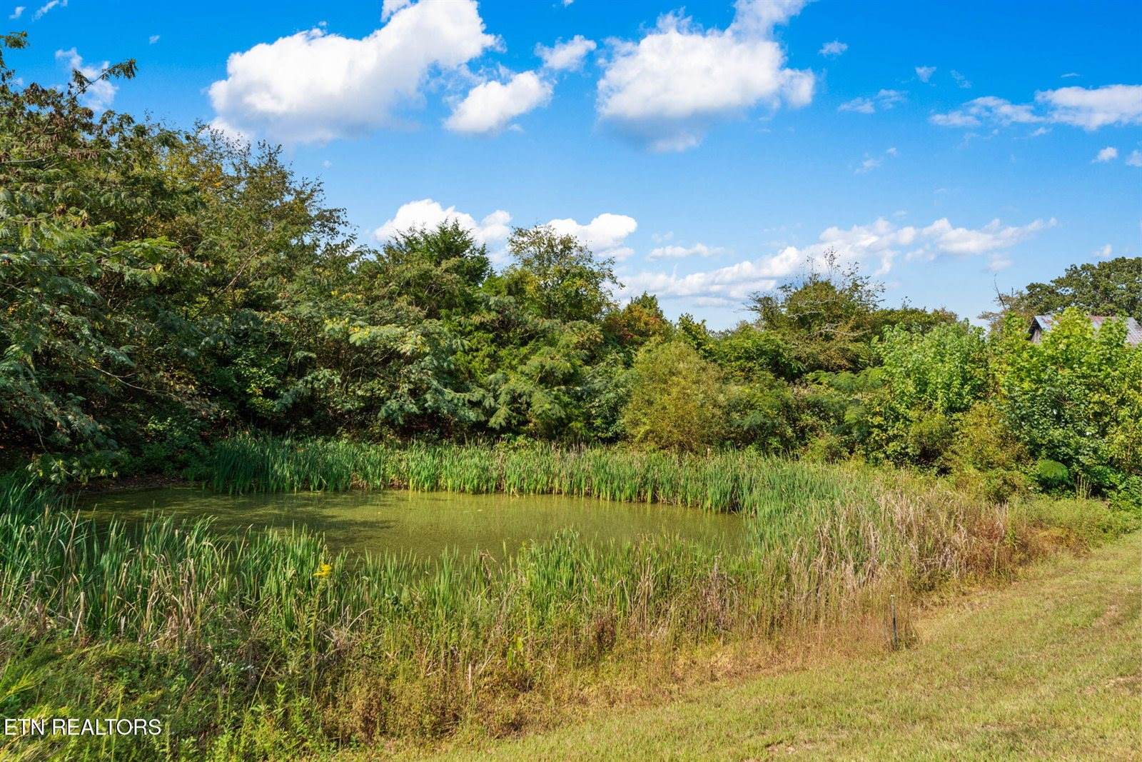 103 Wilson Lane, Andersonville, TN 37705