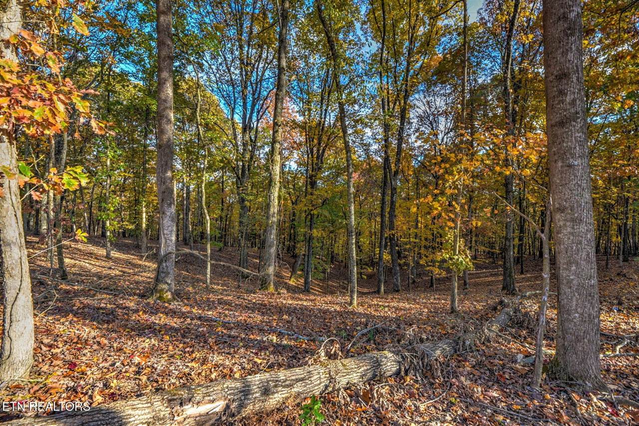 3010 Old Dogwood Tr, Loudon, TN 37774