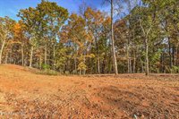 3010 Old Dogwood Tr, Loudon, TN 37774