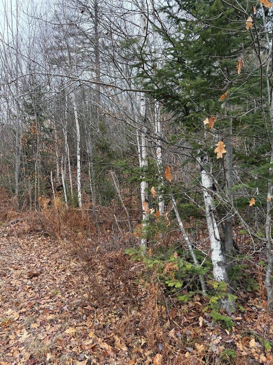 M5/L27 Pond Road, Abbot, ME 04406