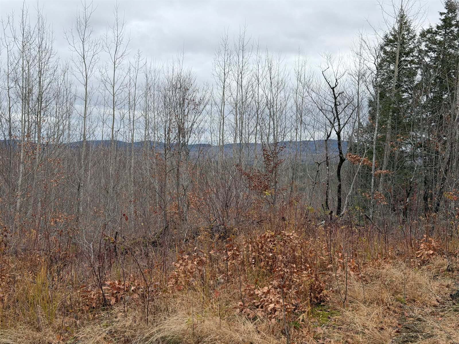 M5/L27 Pond Road, Abbot, ME 04406