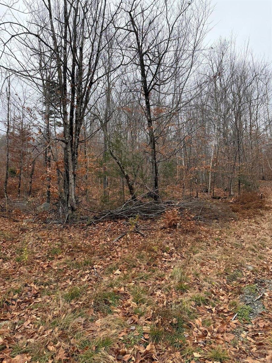 M5/L27 Pond Road, Abbot, ME 04406