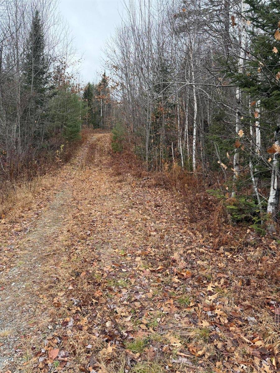 M5/L27 Pond Road, Abbot, ME 04406