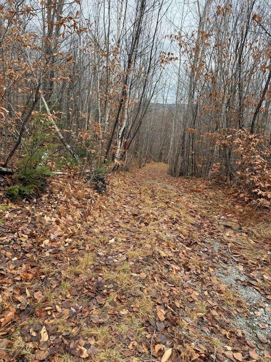 M5/L27 Pond Road, Abbot, ME 04406