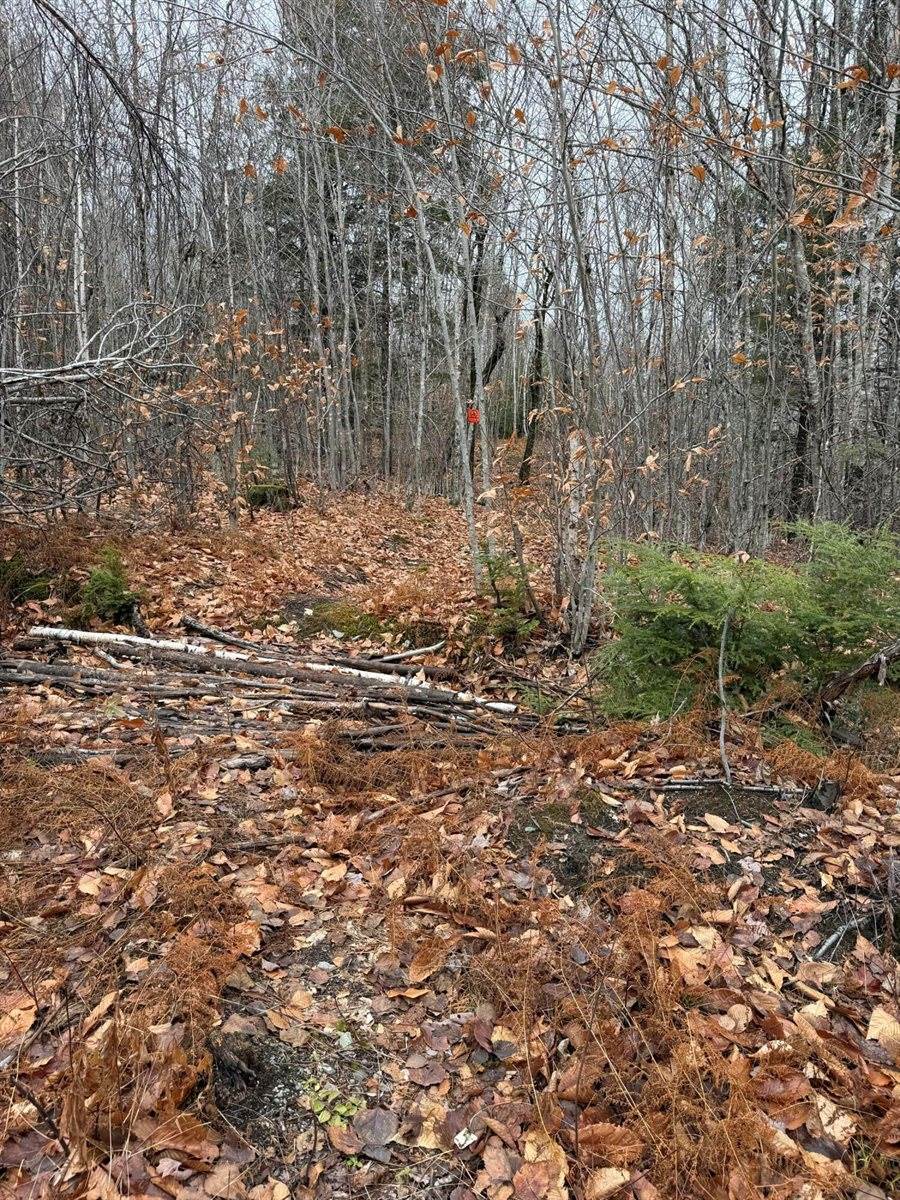 M5/L27 Pond Road, Abbot, ME 04406