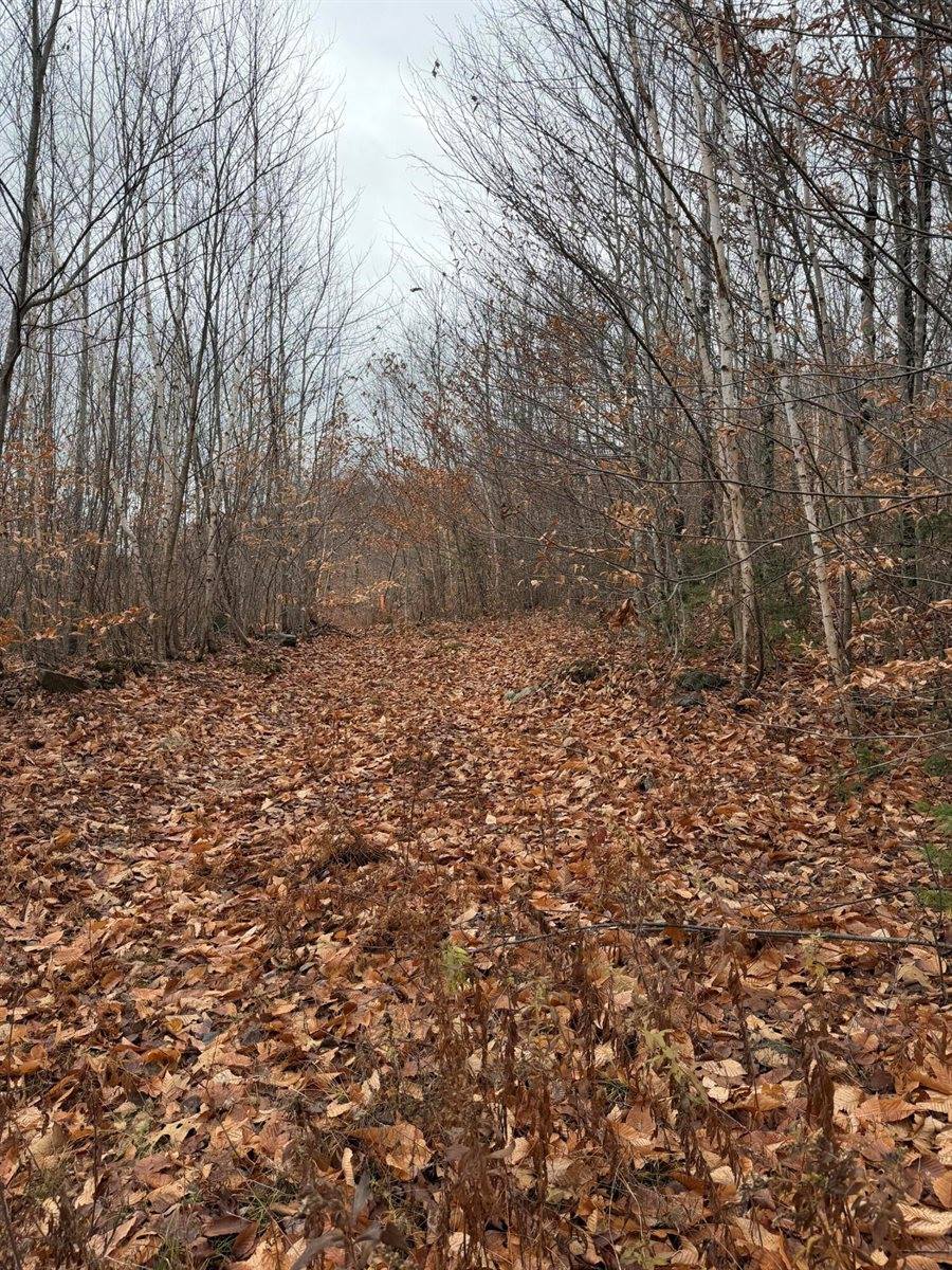 M5/L27 Pond Road, Abbot, ME 04406