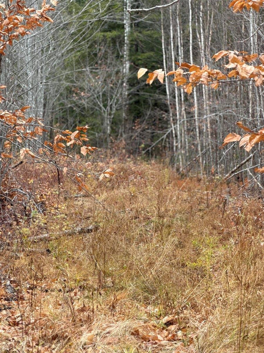 M5/L27 Pond Road, Abbot, ME 04406