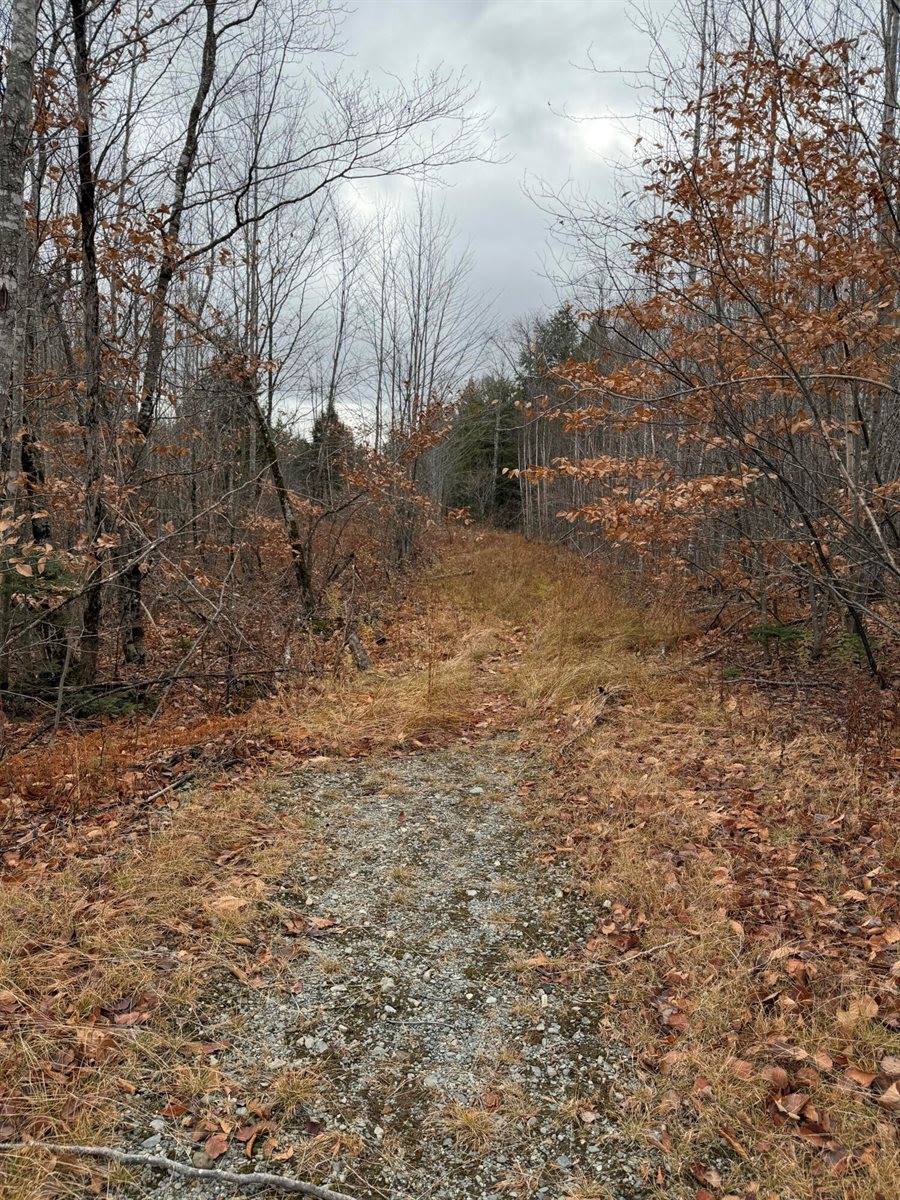 M5/L27 Pond Road, Abbot, ME 04406