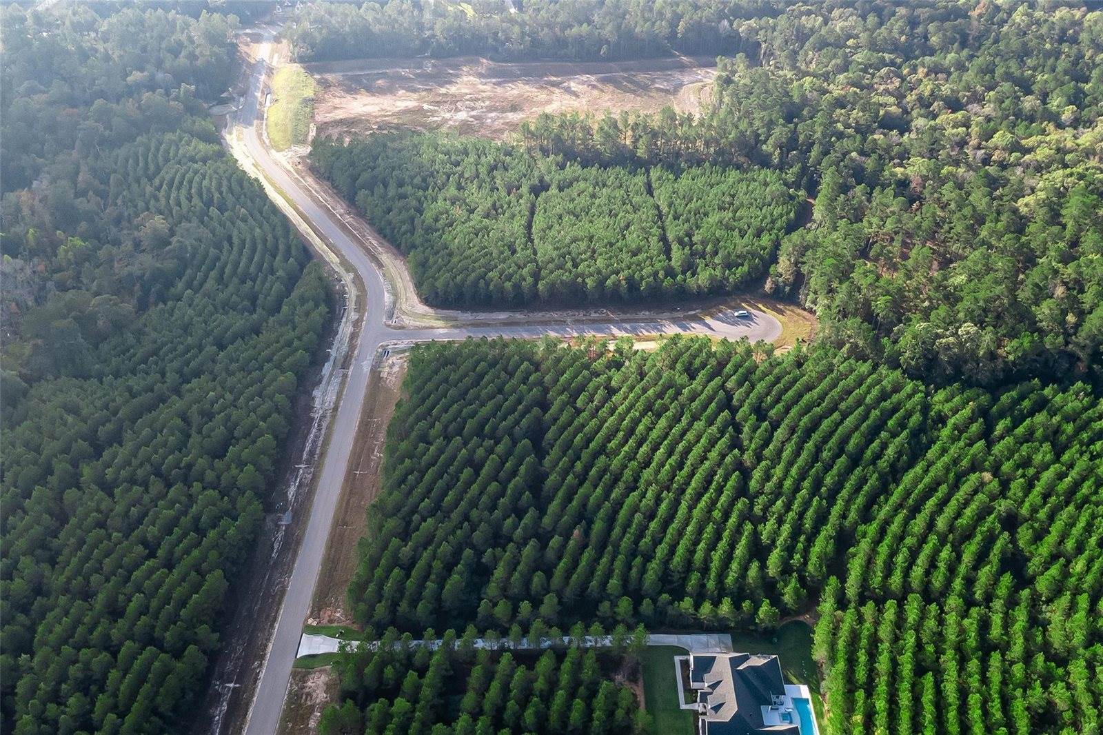 10517 Legends Road, Willis, TX 77378