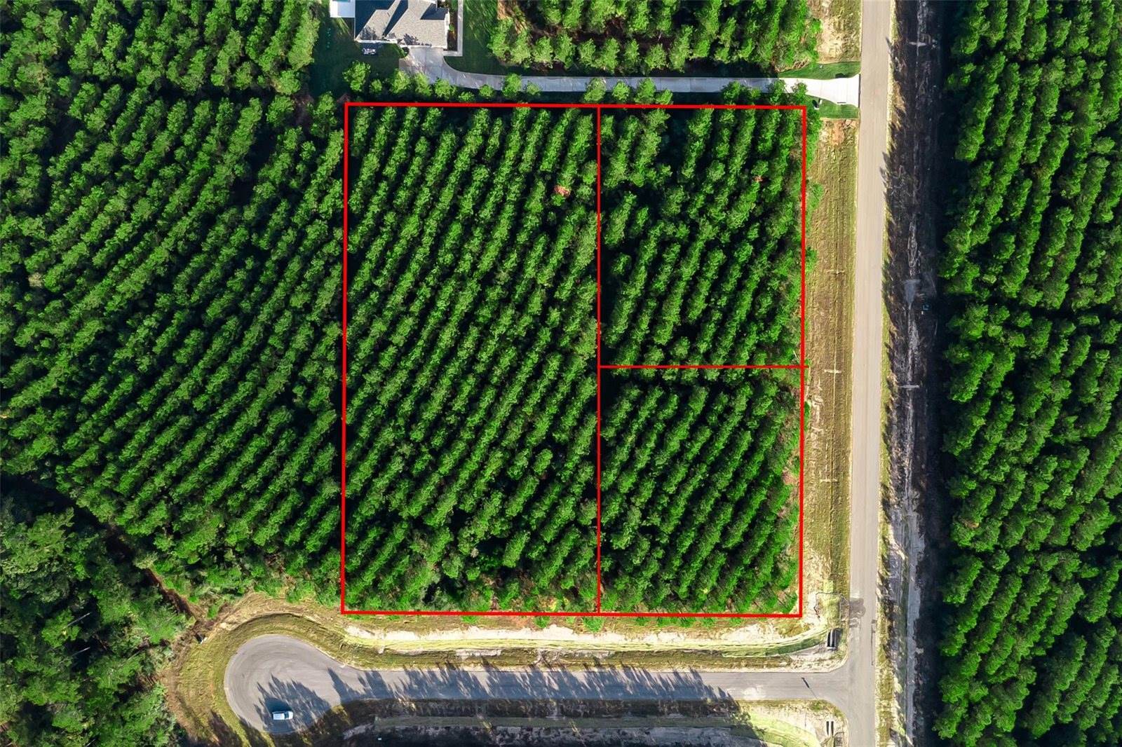 10517 Legends Road, Willis, TX 77378