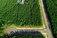 10517 Legends Road, Willis, TX 77378