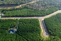 10517 Legends Road, Willis, TX 77378