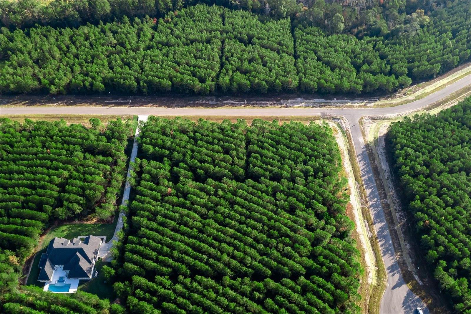 16326 Ridge Oak Road, Willis, TX 77378