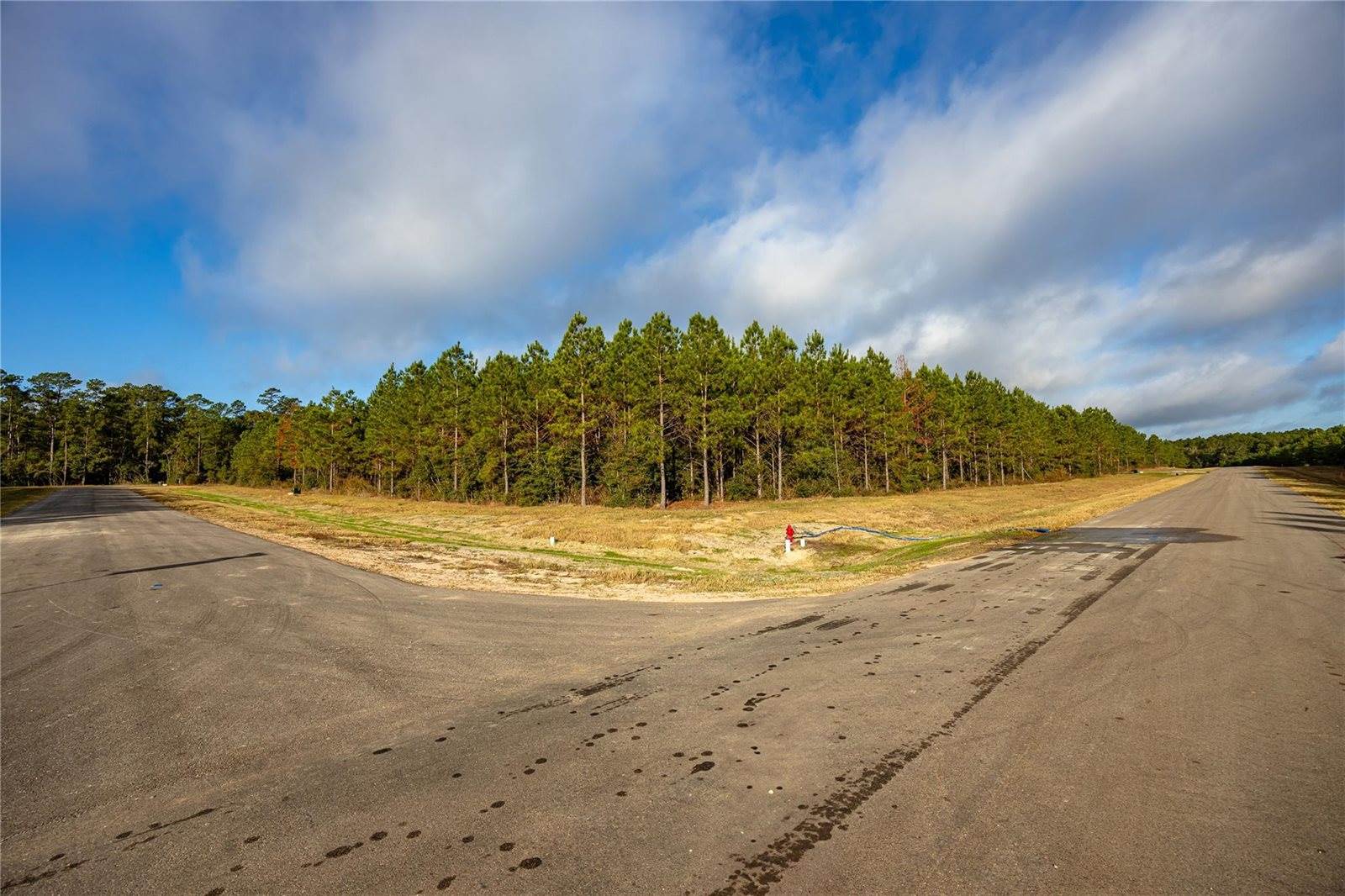 16326 Ridge Oak Road, Willis, TX 77378