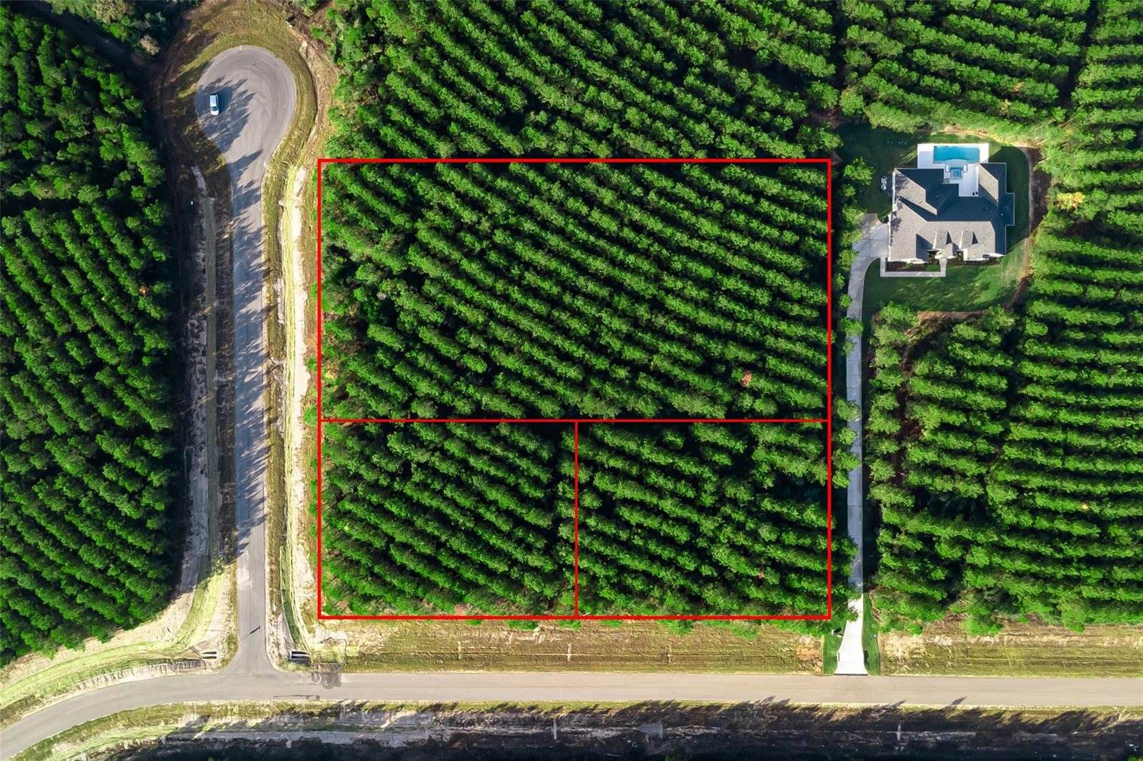 16326 Ridge Oak Road, Willis, TX 77378