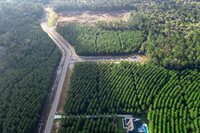 16326 Ridge Oak Road, Willis, TX 77378