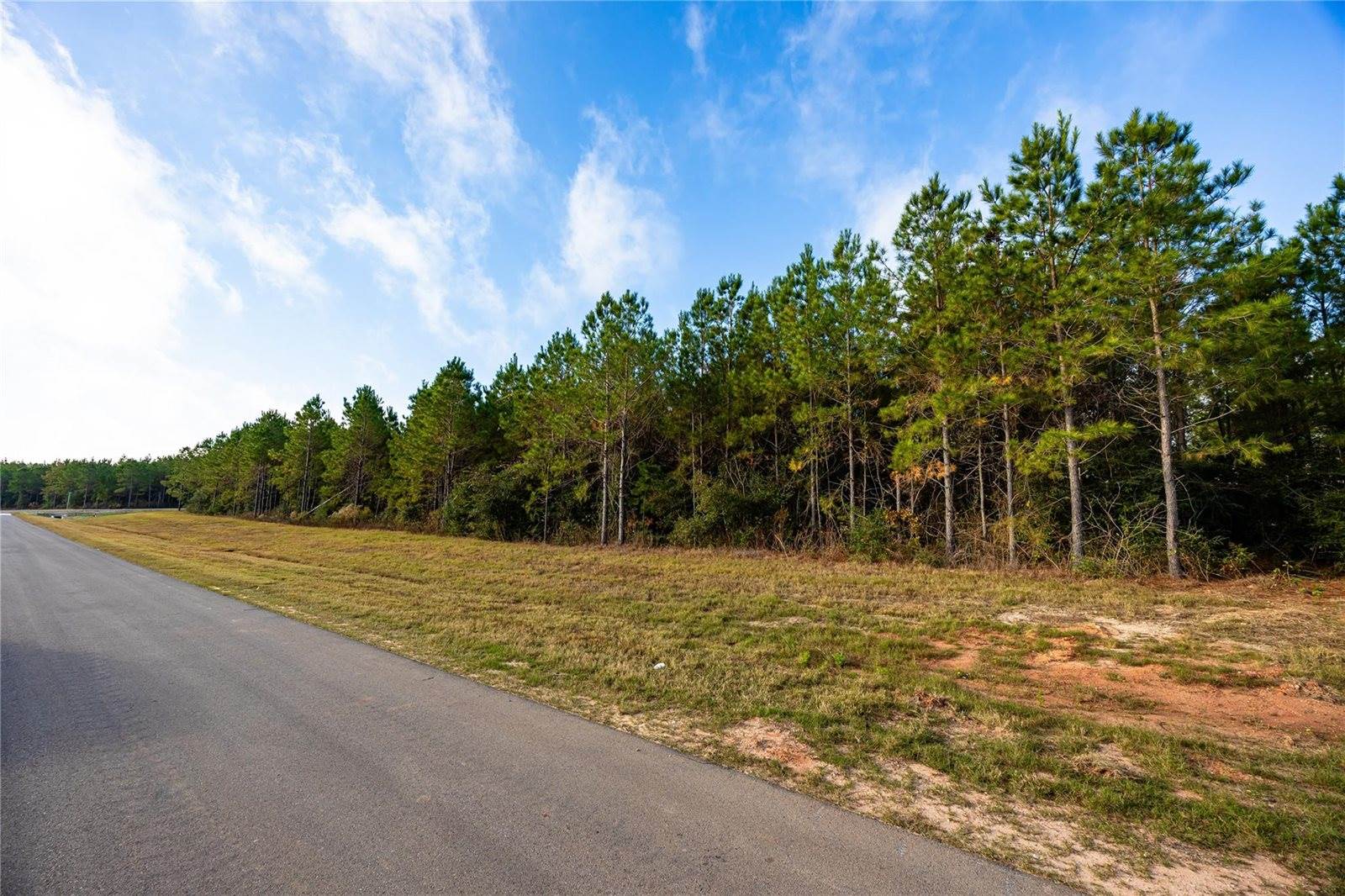 16320 Ridge Oak Road, Willis, TX 77378