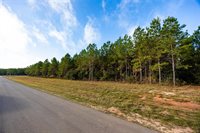 16320 Ridge Oak Road, Willis, TX 77378