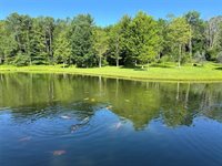 853 Woodhaven Drive, Owego, NY 13827