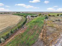 1459 W 400 S, Pingree, ID 83262