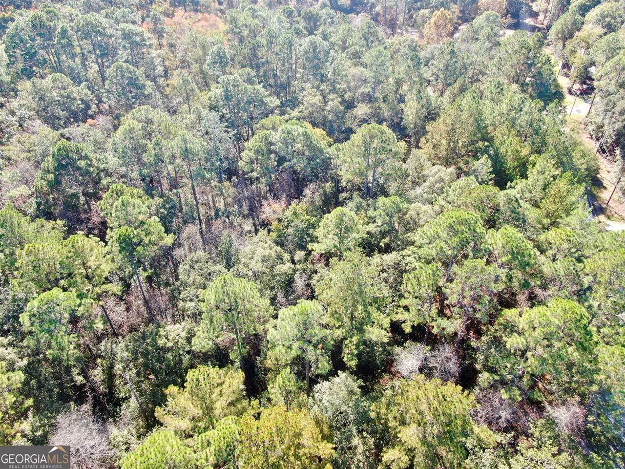 291 Sawdust Trail, Waycross, GA 31503