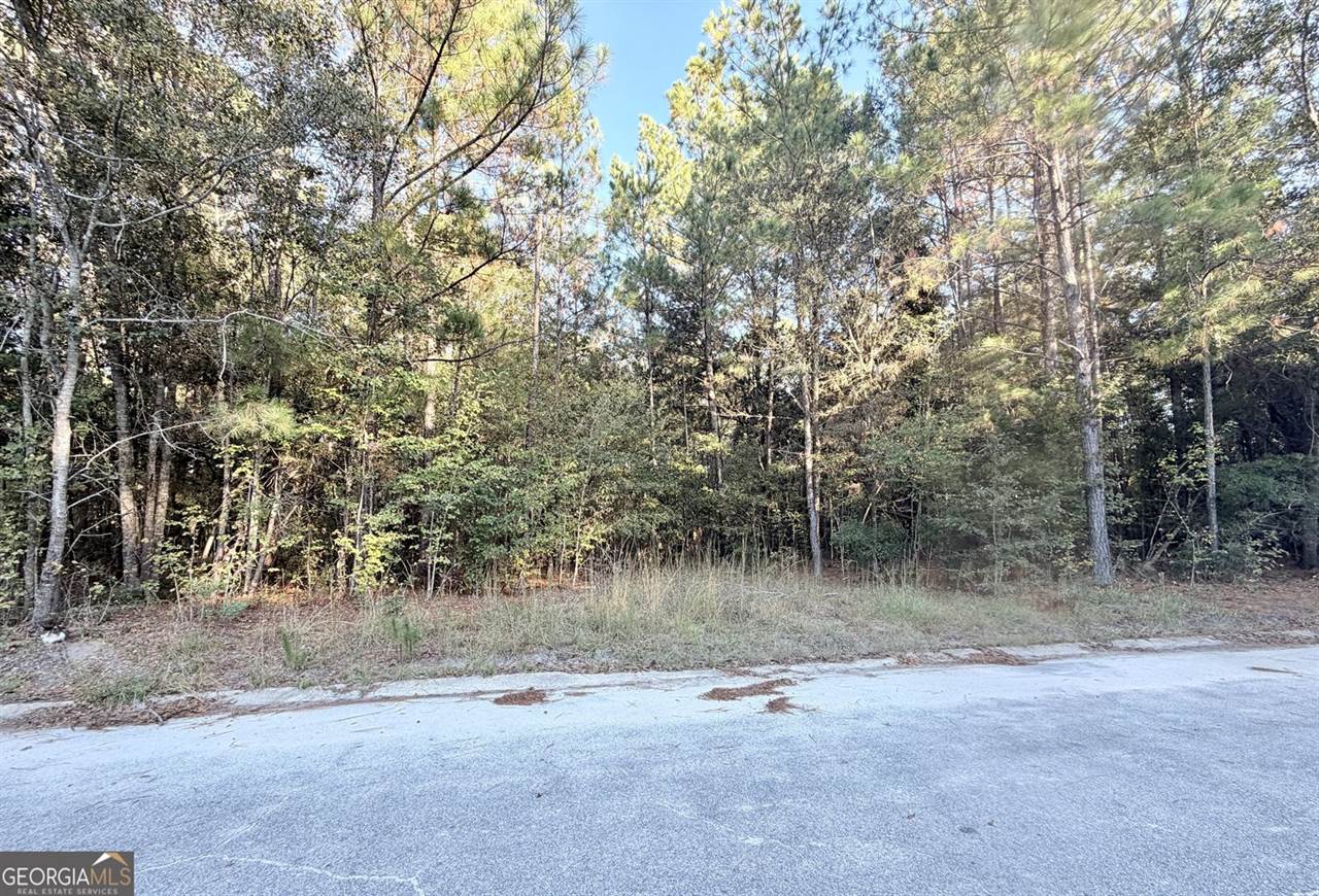 291 Sawdust Trail, Waycross, GA 31503