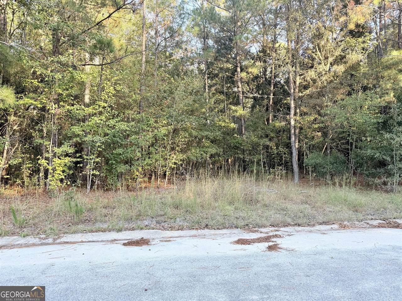 291 Sawdust Trail, Waycross, GA 31503