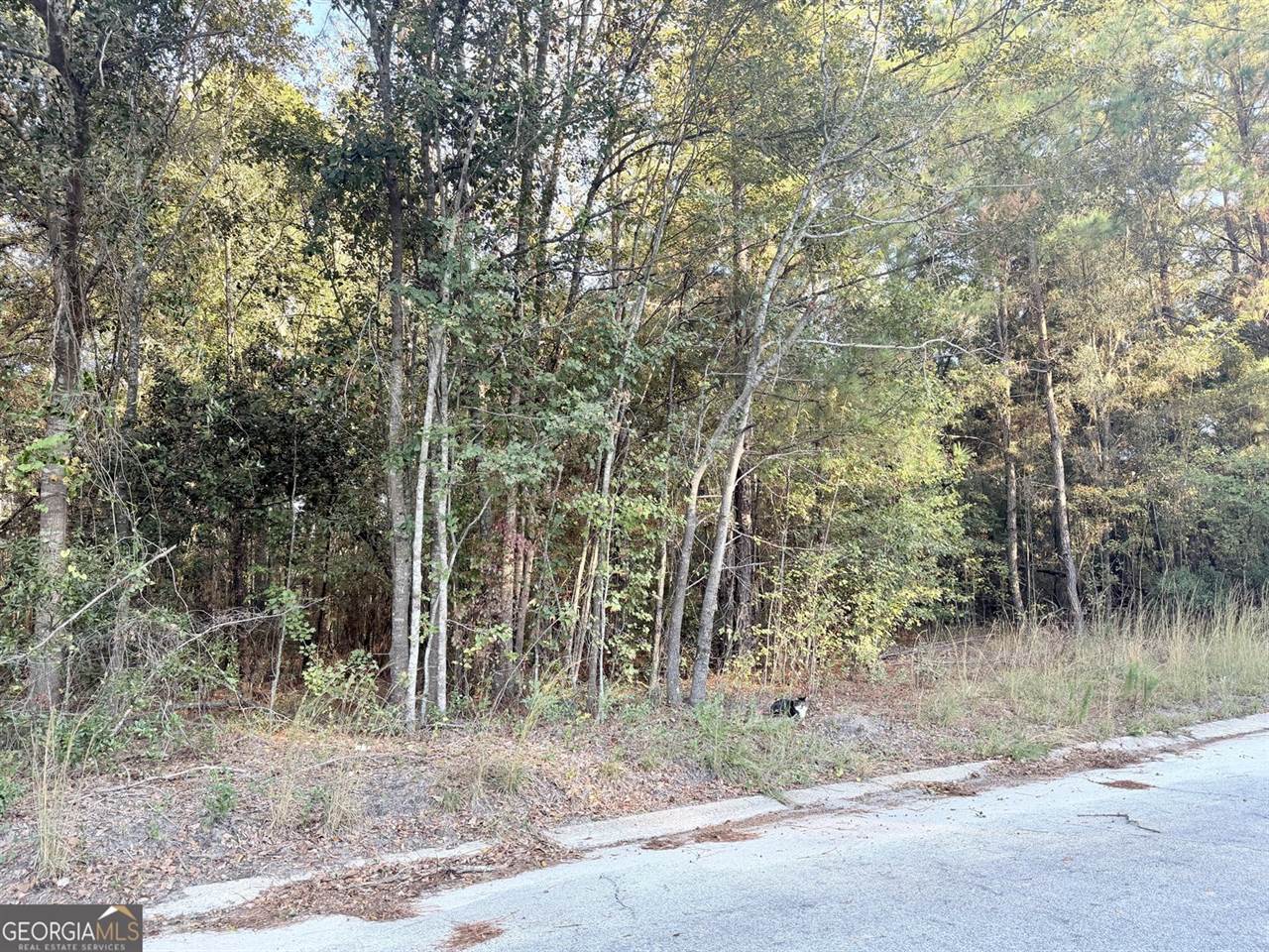 291 Sawdust Trail, Waycross, GA 31503