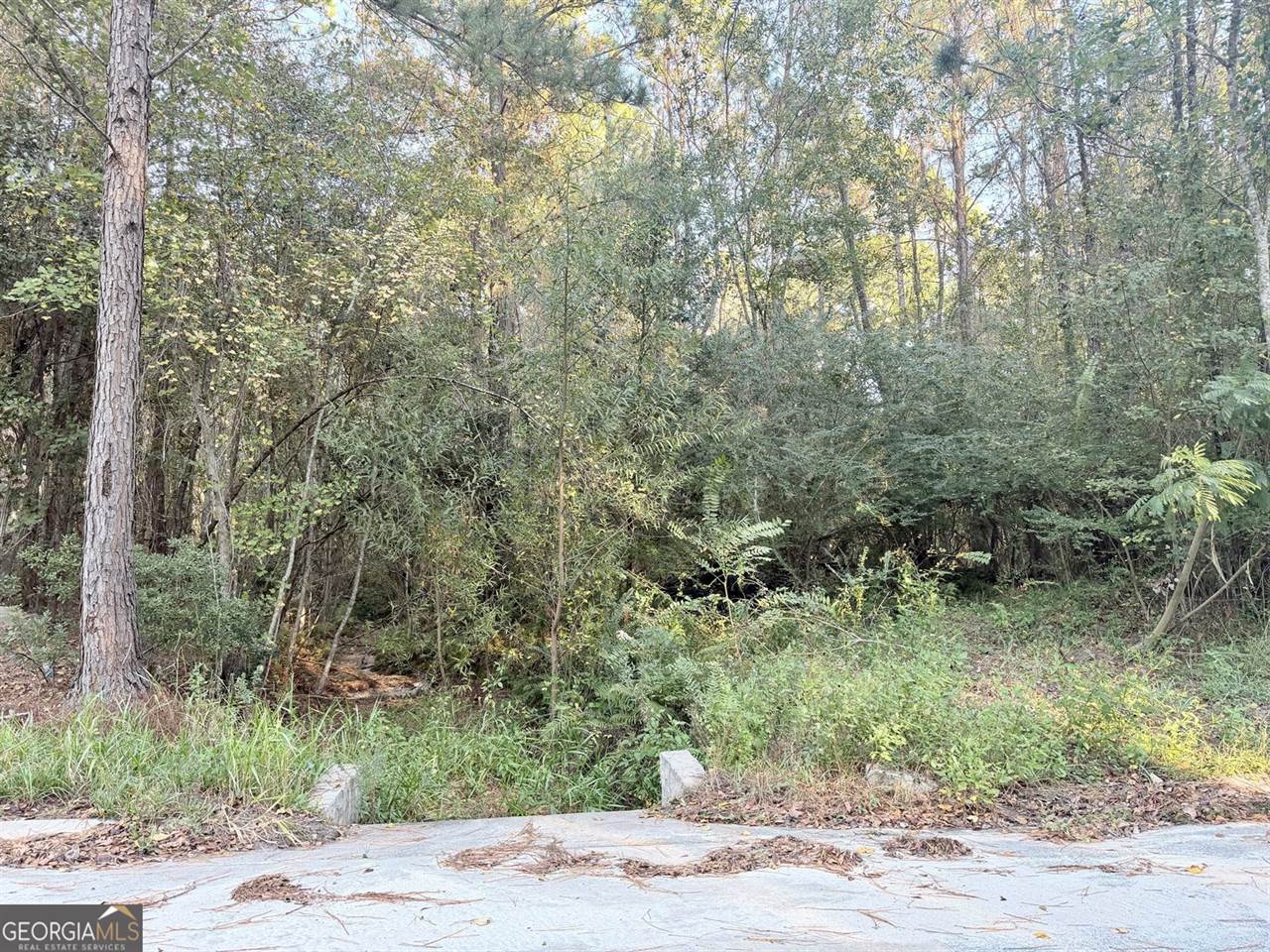 291 Sawdust Trail, Waycross, GA 31503