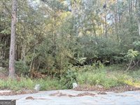 291 Sawdust Trail, Waycross, GA 31503
