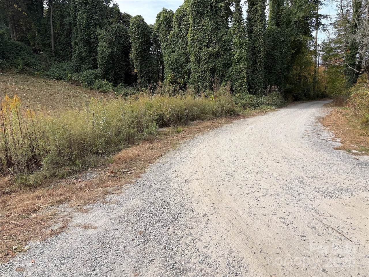 119, 123, 127 Randolph Avenue, Black Mountain, NC 28711