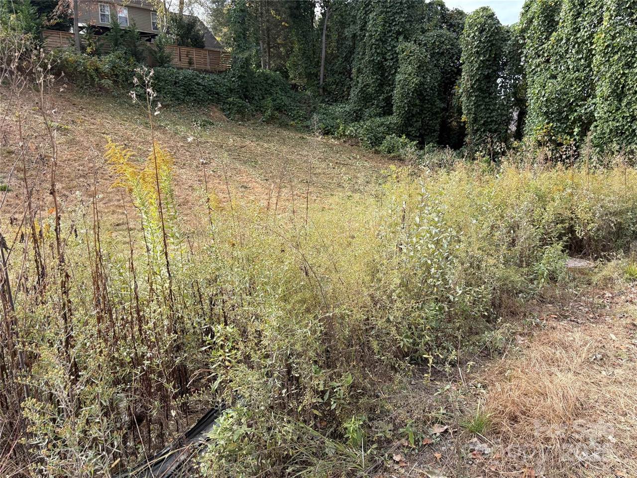 119, 123, 127 Randolph Avenue, Black Mountain, NC 28711