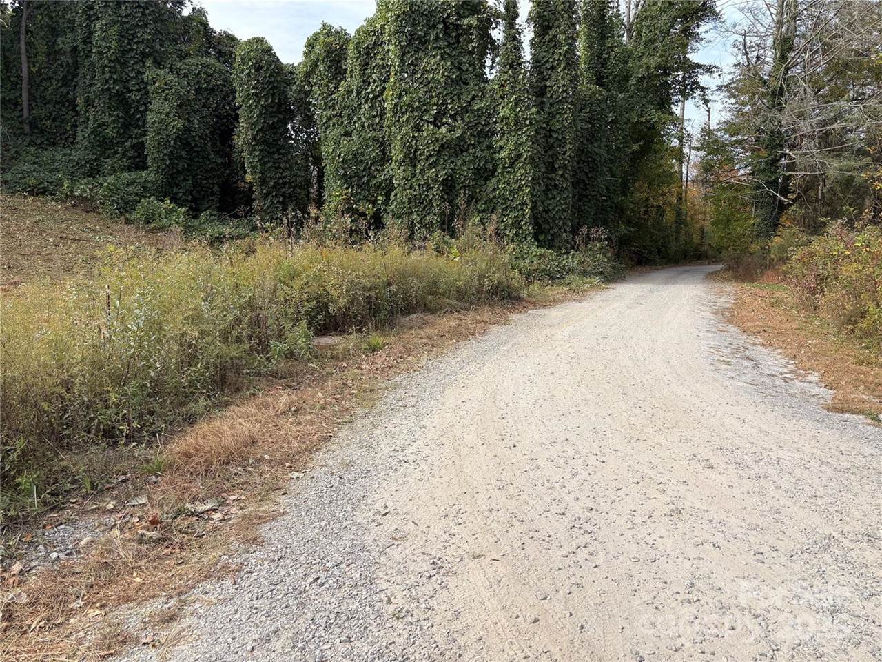 119, 123, 127 Randolph Avenue, Black Mountain, NC 28711