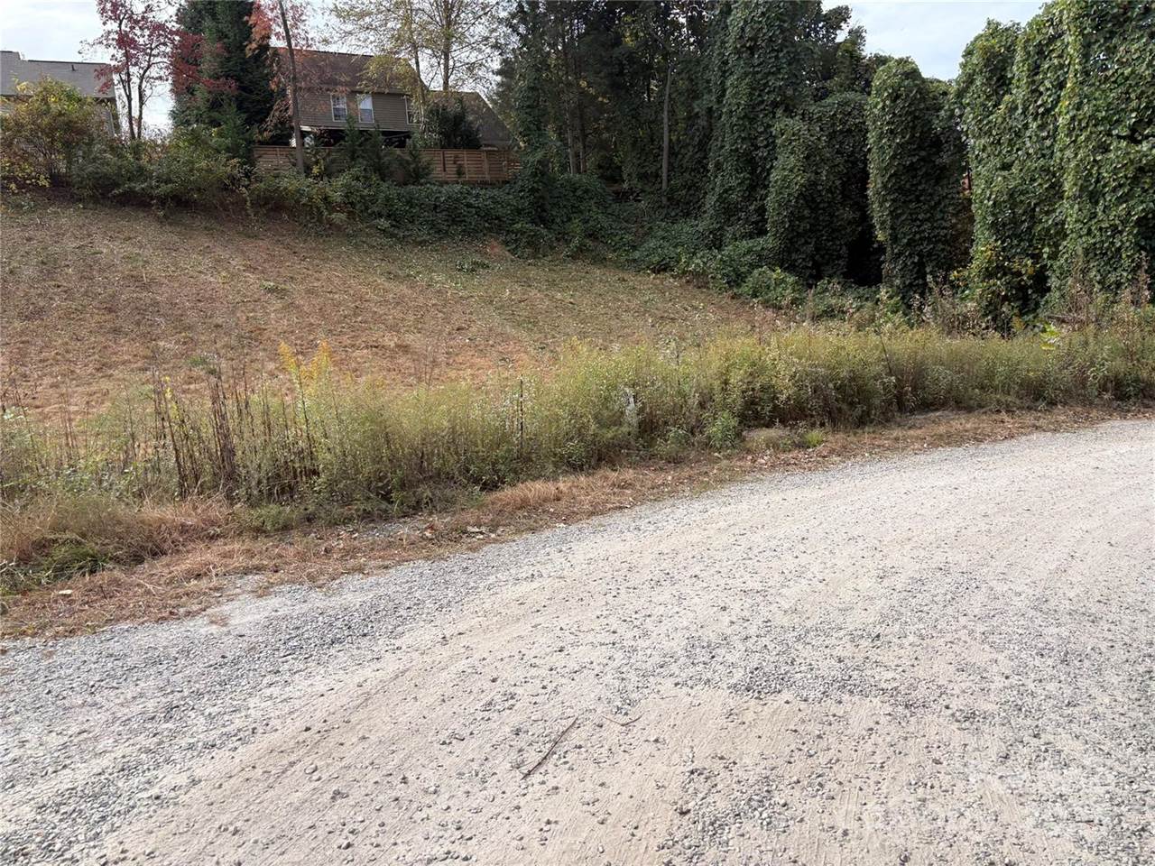 119, 123, 127 Randolph Avenue, Black Mountain, NC 28711