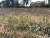 119, 123, 127 Randolph Avenue, Black Mountain, NC 28711