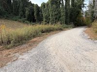 119, 123, 127 Randolph Avenue, Black Mountain, NC 28711