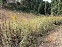 119, 123, 127 Randolph Avenue, Black Mountain, NC 28711