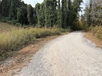 119, 123, 127 Randolph Avenue, Black Mountain, NC 28711