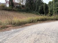 119, 123, 127 Randolph Avenue, Black Mountain, NC 28711