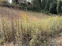 119, 123, 127 Randolph Avenue, Black Mountain, NC 28711