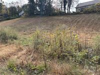 119, 123, 127 Randolph Avenue, Black Mountain, NC 28711