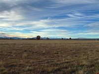 TBD Valley Ranch Drive, Montrose, CO 81401