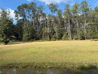 25675 Lark Street, Ponchatoula, LA 70454